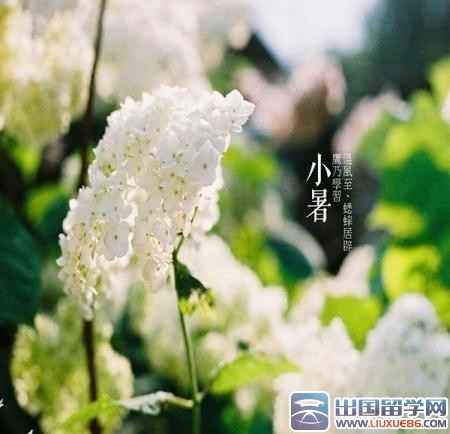 小暑吃什么好