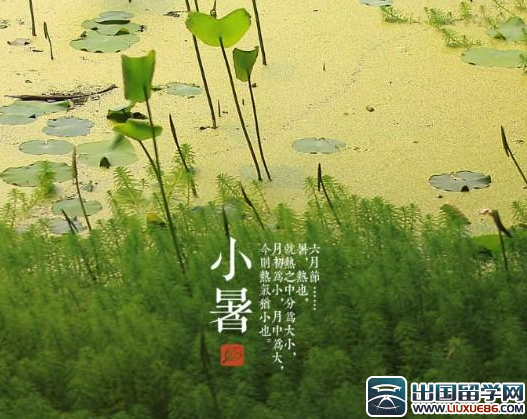 小暑时节的饮食调养