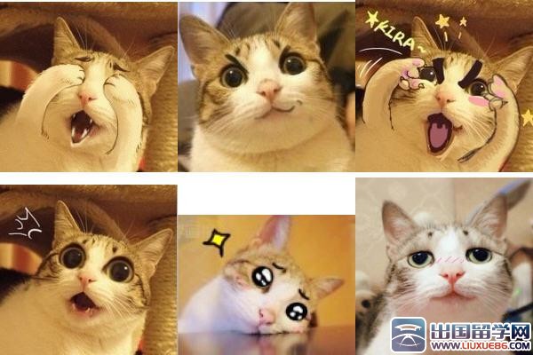 一句话笑话精选