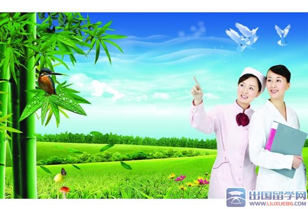 护理职业生涯规划书模板