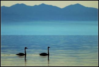 暑假《瓦尔登湖》读后感