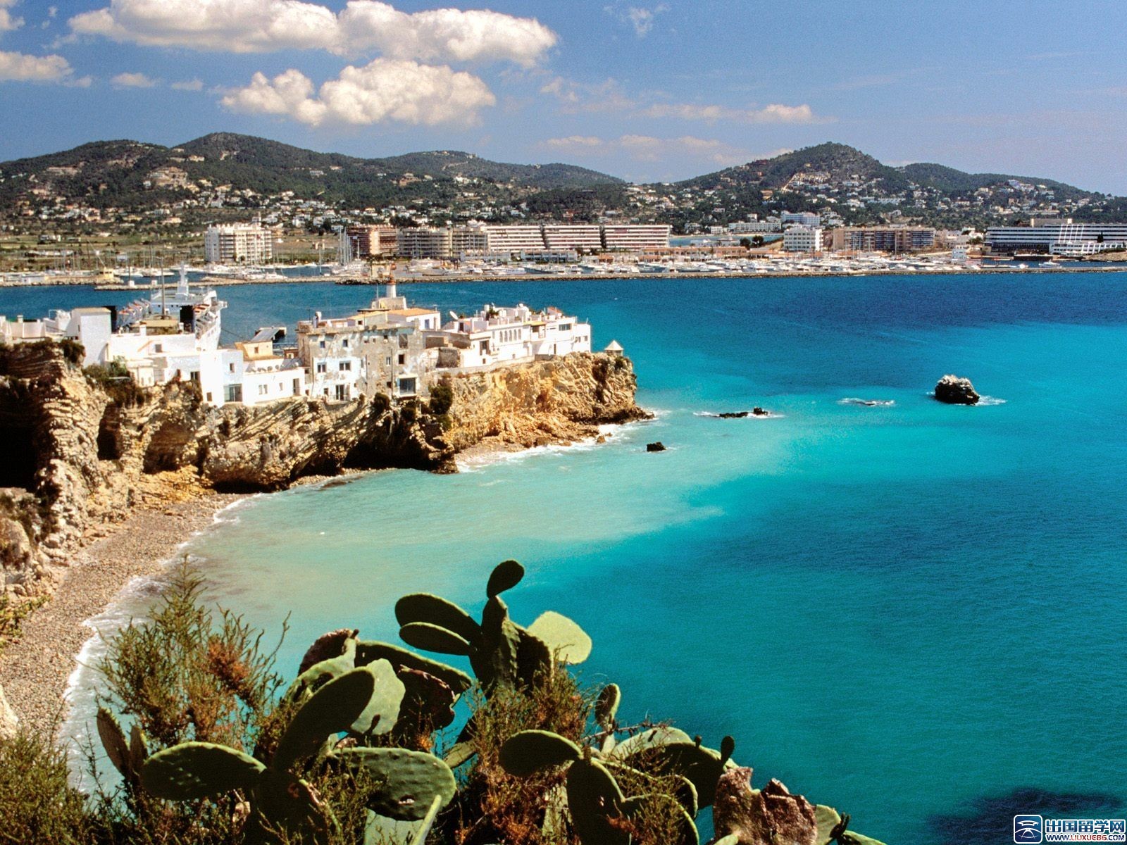 西班牙签证申请表如何填写