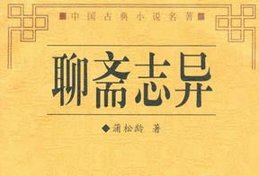 暑假《聊斋志异》读后感