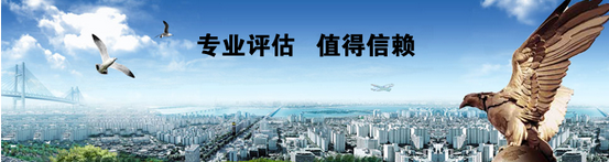 个人房产评估工作总结