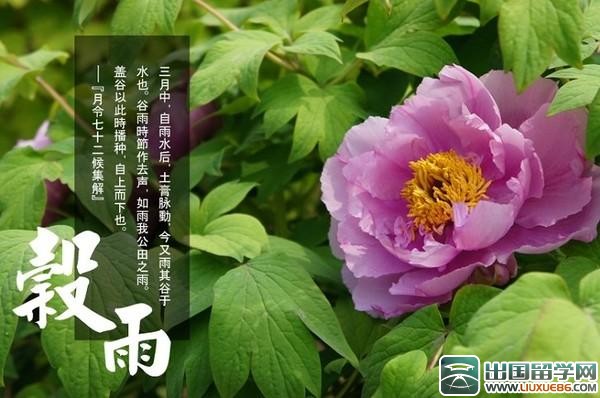 二十四节气谷雨谚语