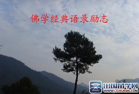 佛学的经典语录