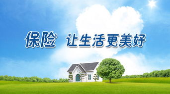 大学生保险实习报告
