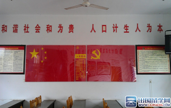 村党支部年度工作计划