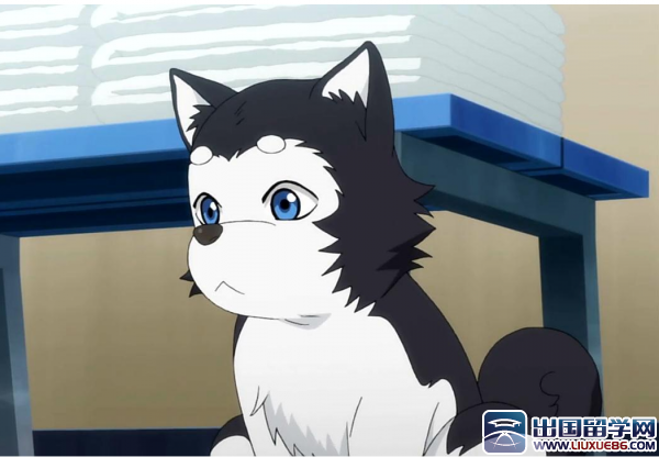 动漫经典语录 伤感