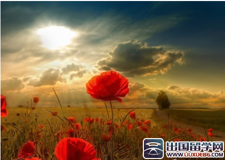 早安励志语录经典