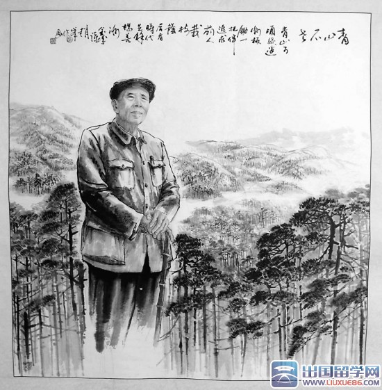 青山不老读后感300字