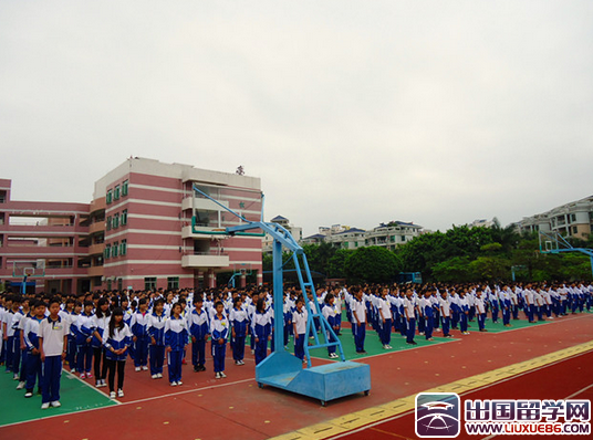 初一入团志愿书800字范文