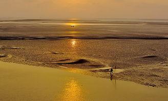 景区中秋节旅游策划