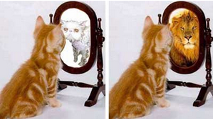 个人自我鉴定200字