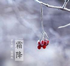 霜降吃什么