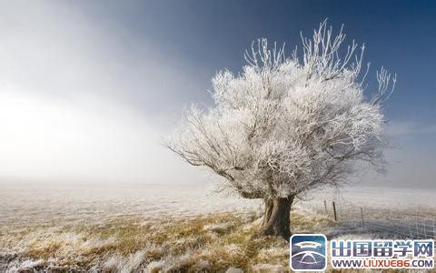 小雪习俗有哪些