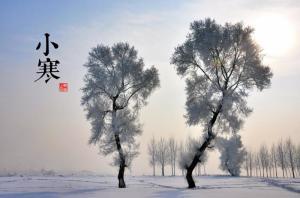小寒时节谚语
