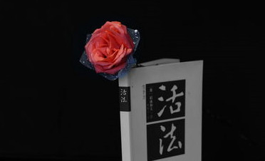 《活法》读后感