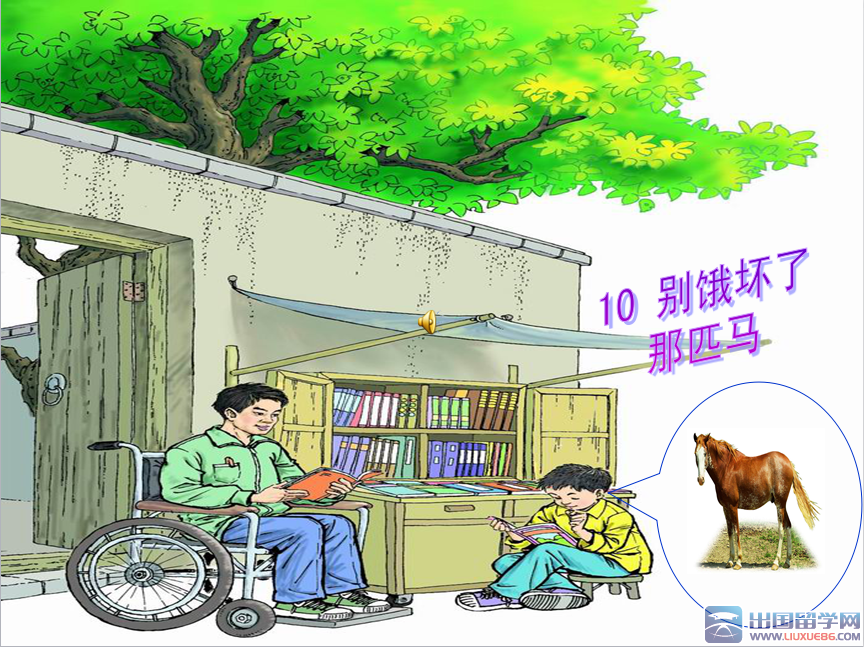 别饿坏了那匹马读后感