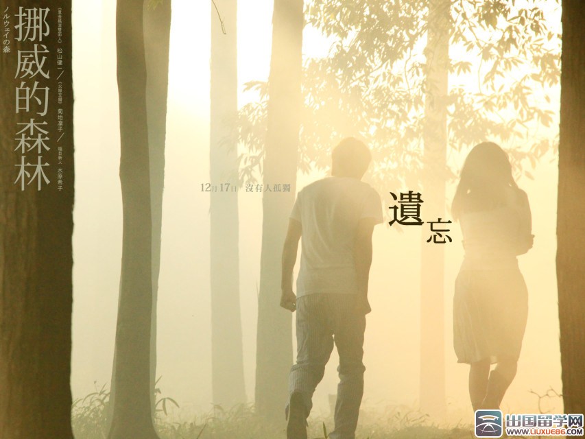 挪威的森林读后感800字