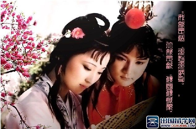 读《红楼梦》有感500字