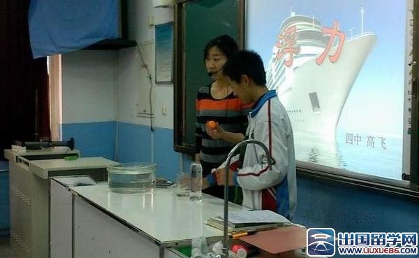 初中物理教师新学期工作计划
