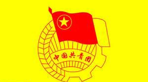 职高入团申请书