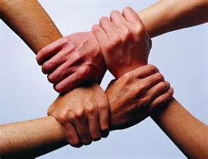 体现团队精神口号