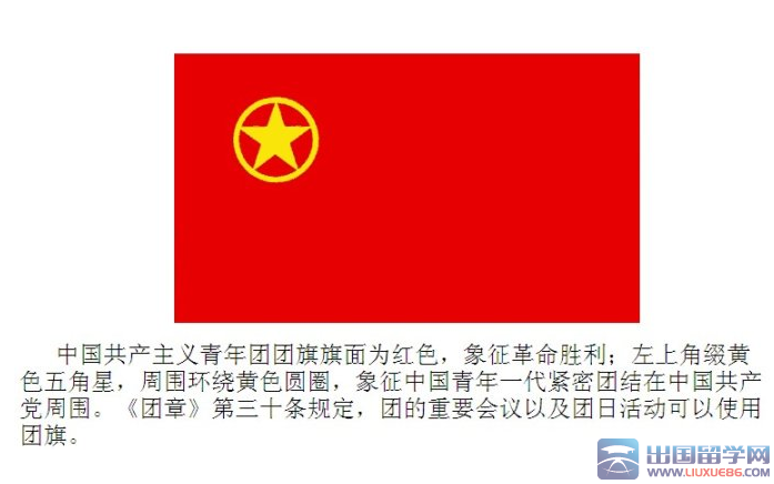 初中入团志愿书700字