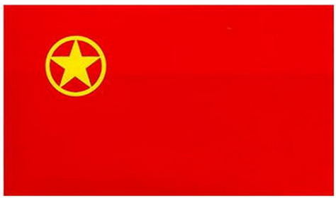 高中干部入团申请书