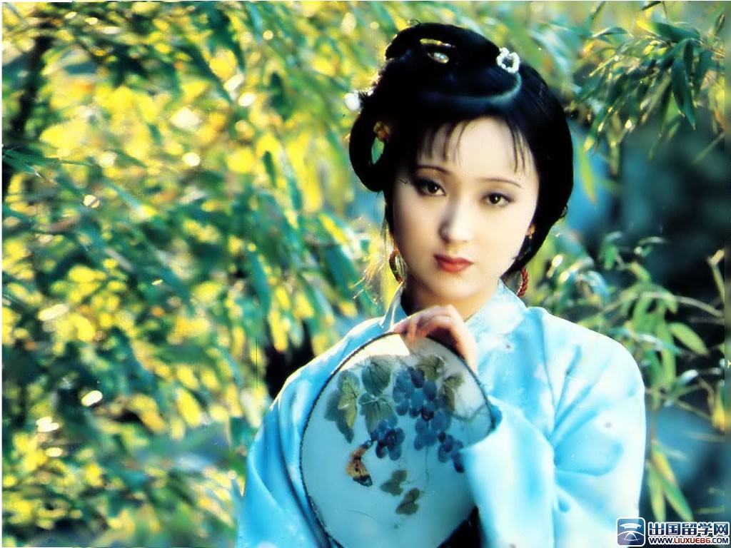 读《红楼梦》有感