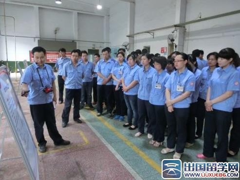 质量月工作总结报告