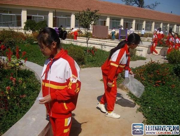 学校重阳节活动工作总结