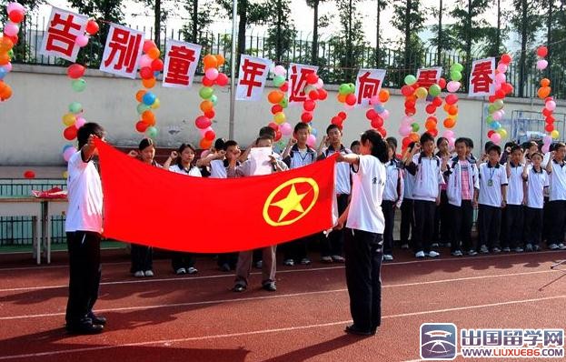 高一入团志愿书100字精选