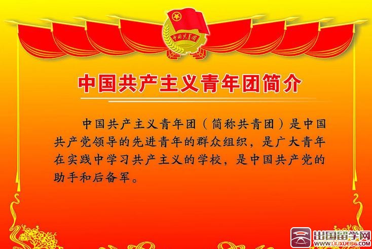 初中生入团志愿书100字