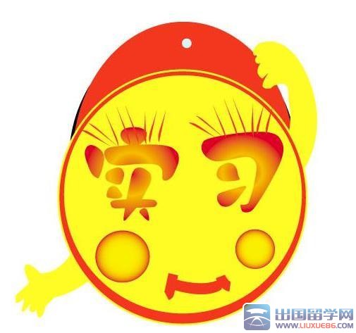 个人实习小结