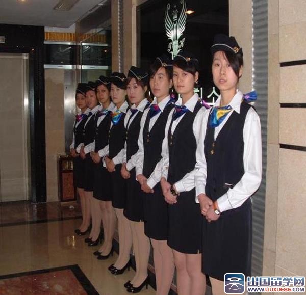 酒店试用期工作总结