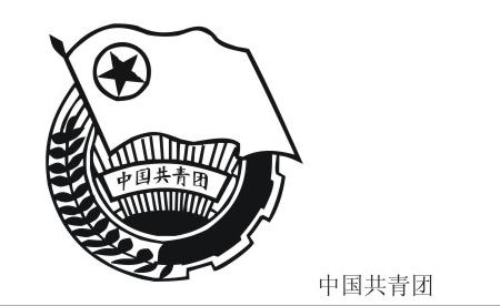 初一入团志愿书200字