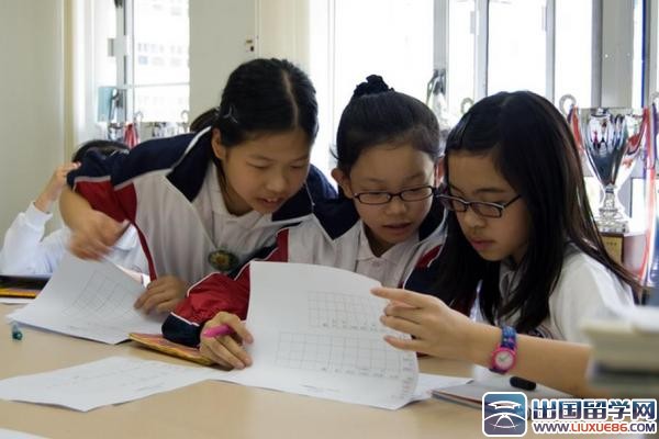 统计员试用期工作总结