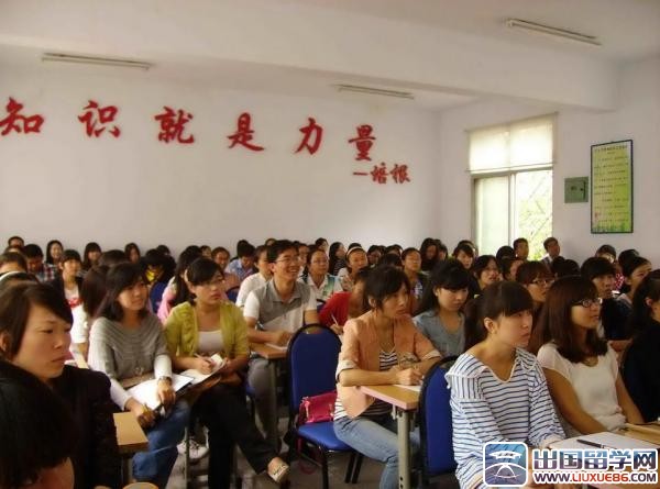 试用期转正述职工作总结