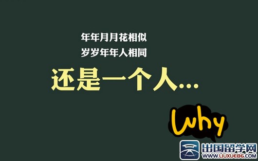 双十一活动策划大全