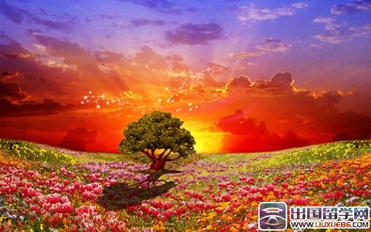 应届生个人简历模板大全