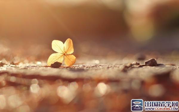 应届毕业生求职信大全