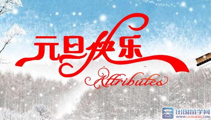 元旦活动总结范文