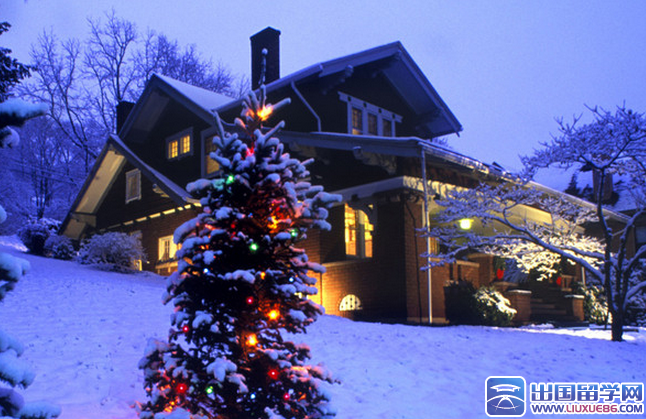 幼儿园圣诞节主持稿