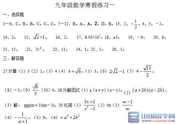 国标版九年级数学寒假作业答案
