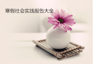 寒假社会实践报告大全
