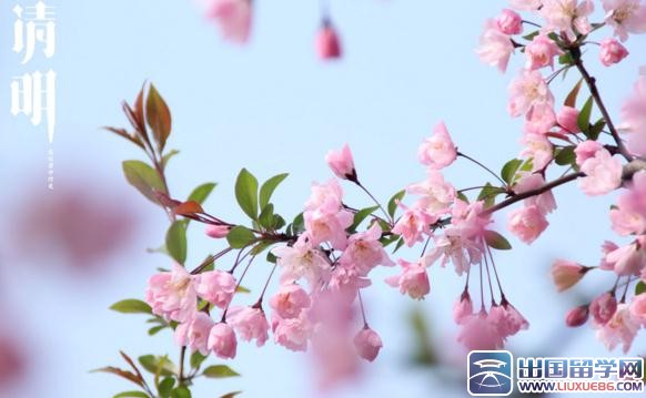 清明节礼仪