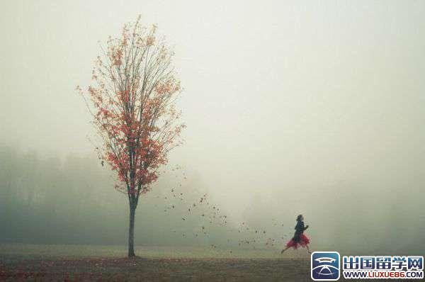 财会类个人简历