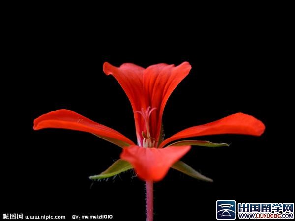 小学教师培训总结